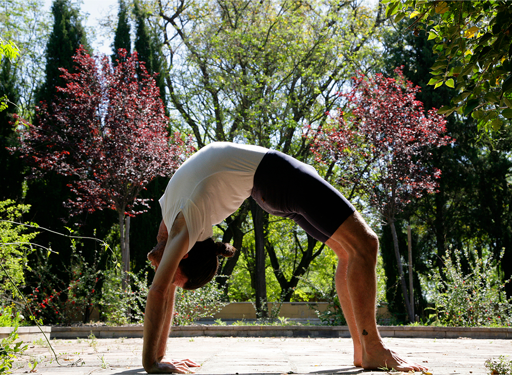 asanas anjali asanas anjali